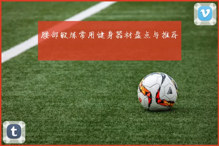 腰部锻炼常用健身器材盘点与推荐
