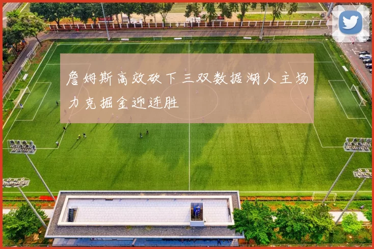 詹姆斯高效砍下三双数据湖人主场力克掘金迎连胜