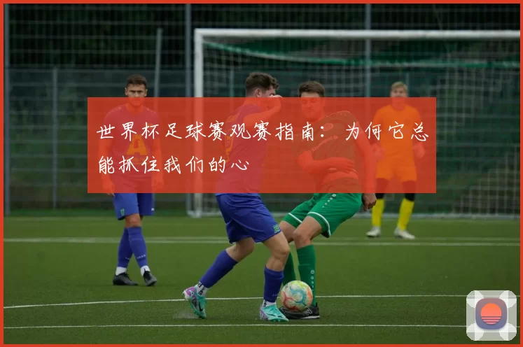 世界杯足球赛观赛指南:为何它总能抓住我们的心