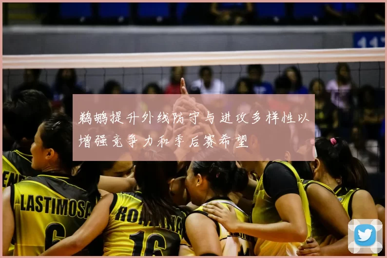 鹈鹕提升外线防守与进攻多样性以增强竞争力和季后赛希望