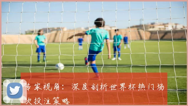 专家视角：深度剖析世界杯热门场次投注策略
