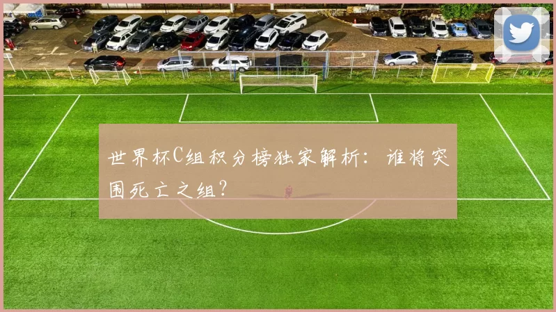 世界杯C组积分榜独家解析:谁将突围死亡之组?