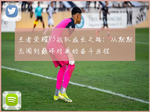 王者荣耀V5战队成长之路：从默默无闻到巅峰对决的奋斗历程