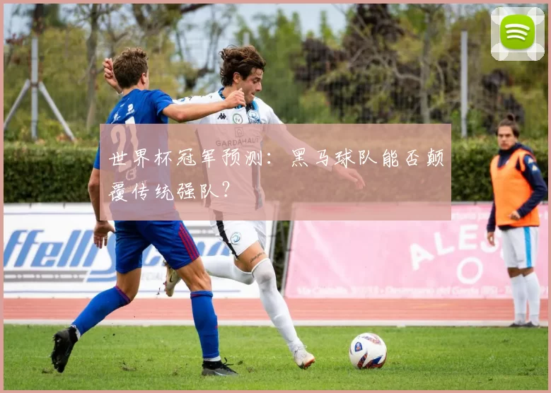世界杯冠军预测：黑马球队能否颠覆传统强队？