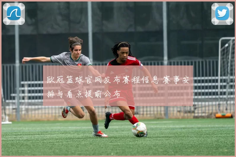 欧冠篮球官网发布赛程信息 赛事安排与看点提前公布