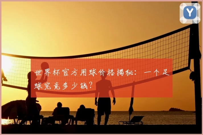 世界杯官方用球价格揭秘：一个足球究竟多少钱？