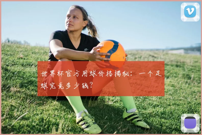 世界杯官方用球价格揭秘:一个足球究竟多少钱?