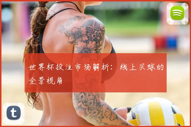 世界杯投注市场解析:线上买球的全景视角
