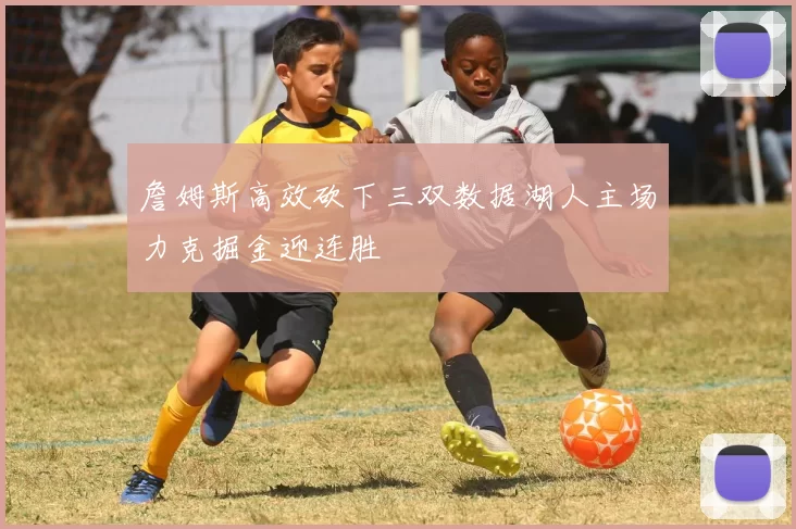 詹姆斯高效砍下三双数据湖人主场力克掘金迎连胜