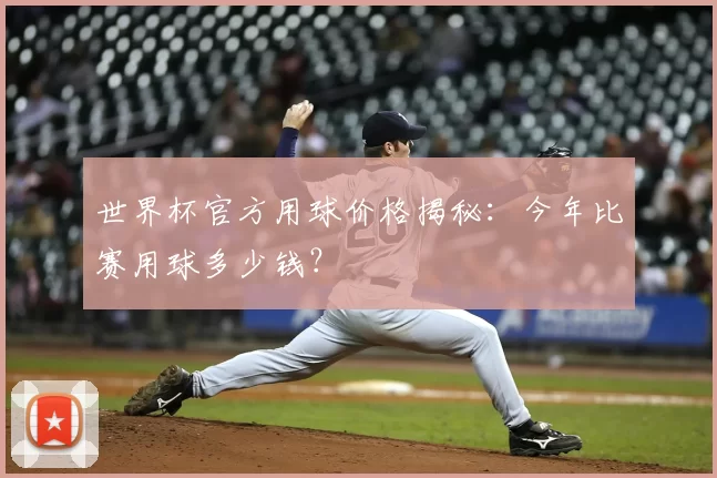 世界杯官方用球价格揭秘:今年比赛用球多少钱?