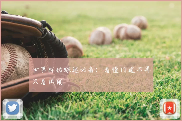 世界杯伪球迷必备：看懂门道不再只看热闹